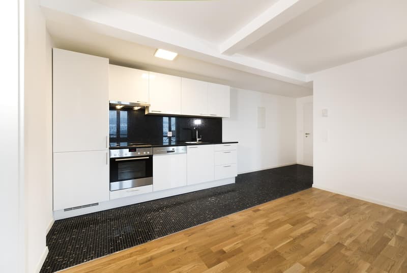 3.0 Zimmerwohnung in St. Gallen (2)