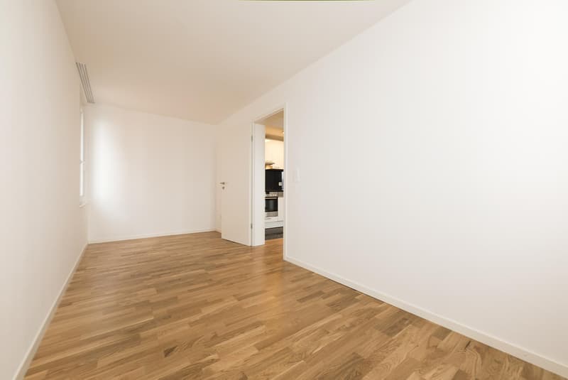 3.0 Zimmerwohnung in St. Gallen (6)