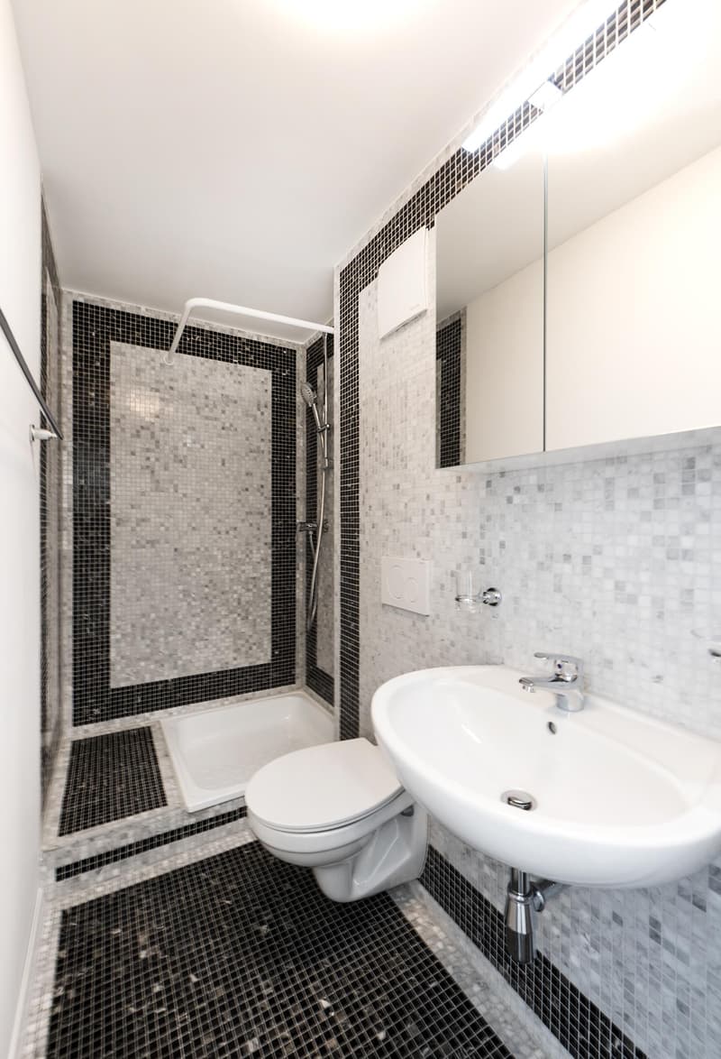 3.0 Zimmerwohnung in St. Gallen (10)