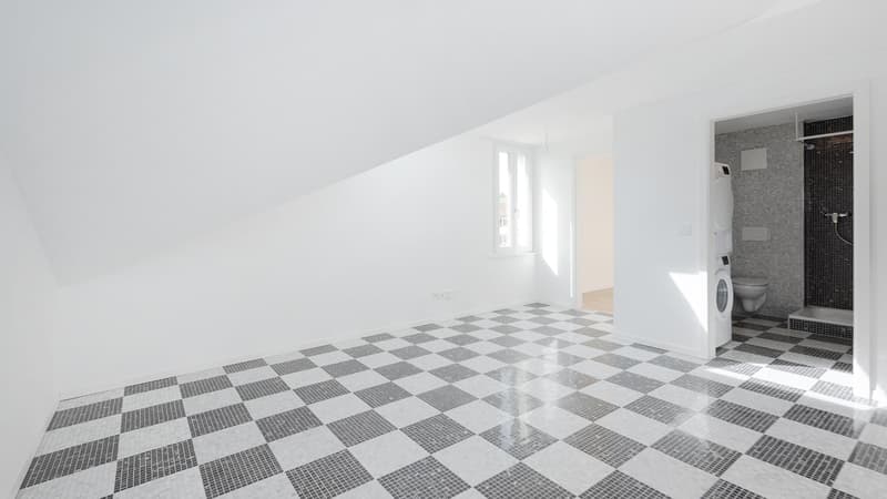 2.0 Zimmerwohnung in St. Gallen (5)
