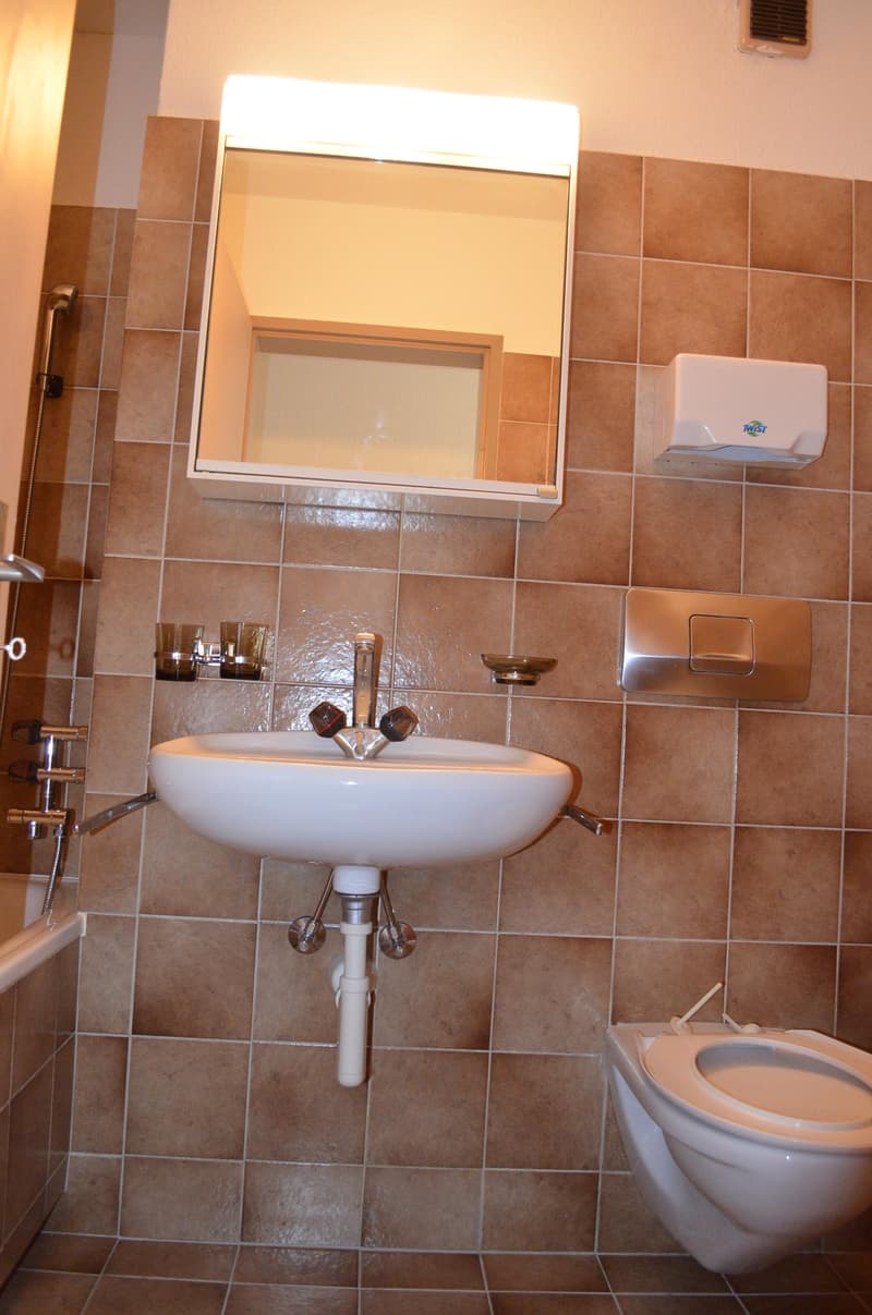 Attraktive 4.5-Zimmerwohnung an zentraler Lage in St. Gallen (10)