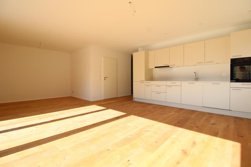 2.5 Zimmerwohnung in St. Gallen (2)