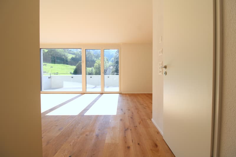 2.5 Zimmerwohnung in St. Gallen (1)
