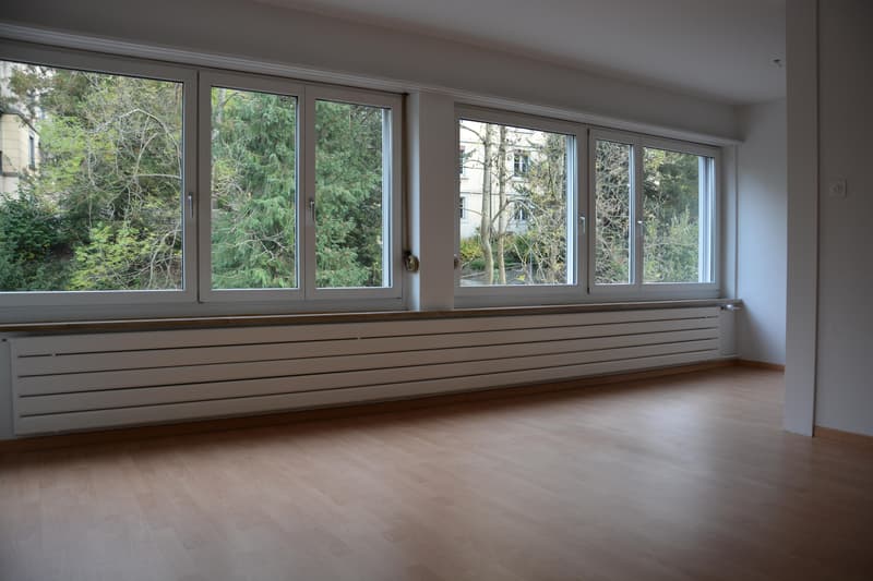 2.5 Zimmerwohnung in St. Gallen (3)