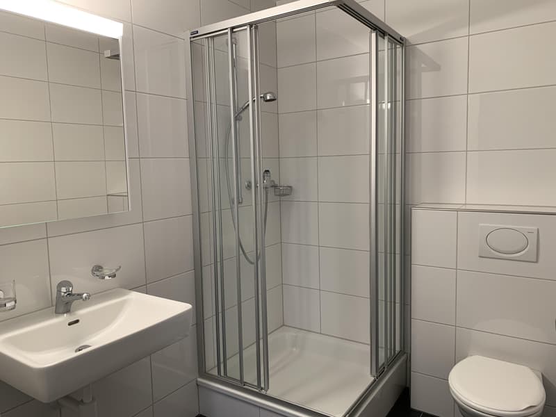 Grosszügige 5.5-Zimmerwohnung mit grossem Balkon (5)
