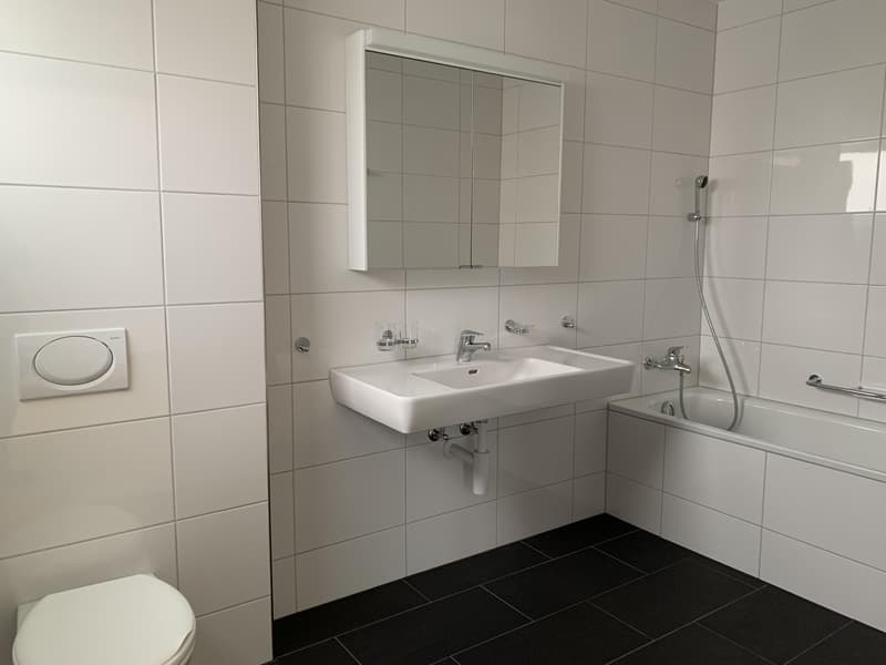 Grosszügige 5.5-Zimmerwohnung mit grossem Balkon (4)