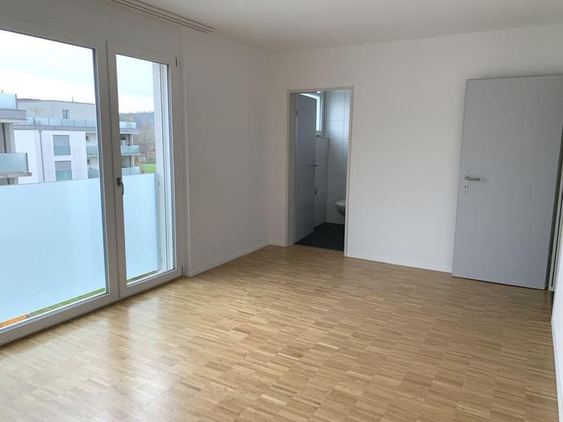 Grosszügige 5.5-Zimmerwohnung mit grossem Balkon (7)