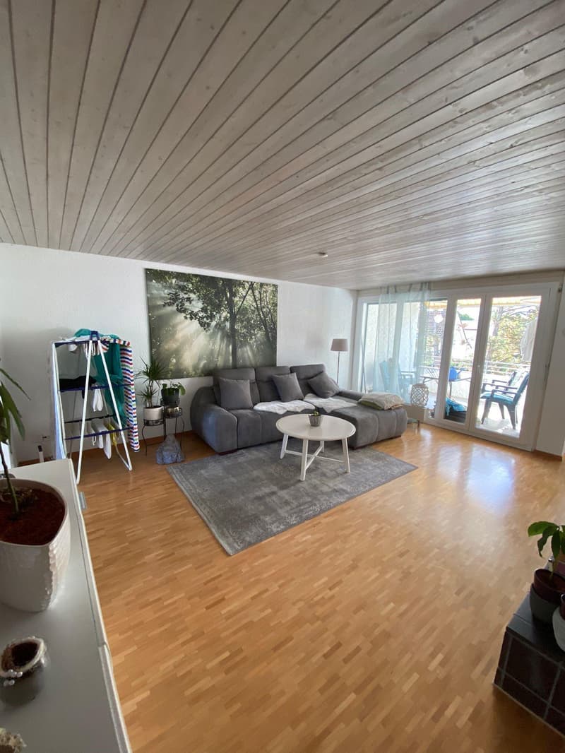 Wunderbare 4.5 Zimmer Wohnung mit Cheminée in Seenähe (2)