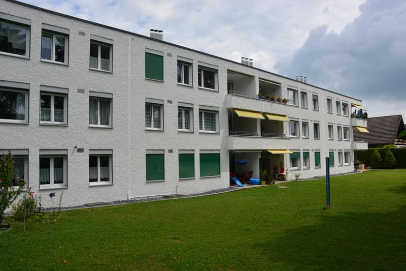 Wunderbare 4.5 Zimmer Wohnung mit Cheminée in Seenähe (11)