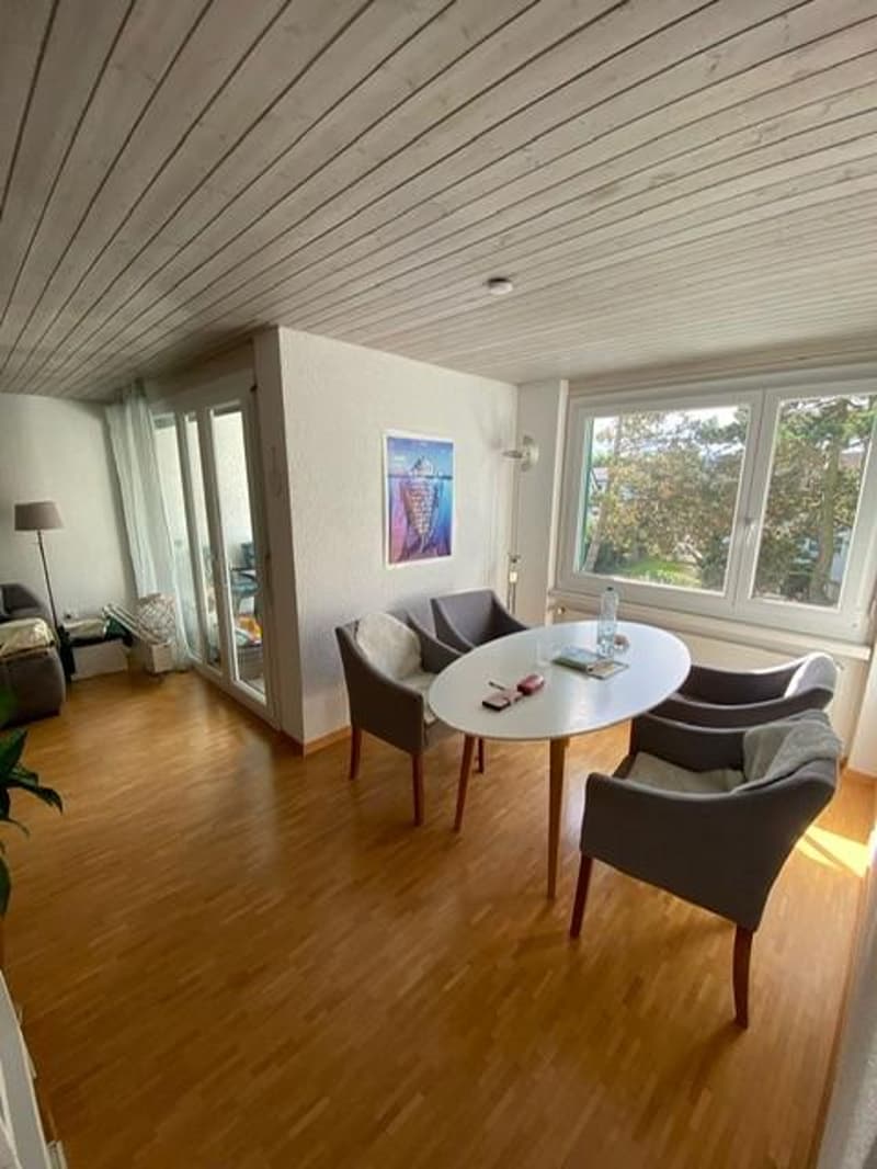 Wunderbare 4.5 Zimmer Wohnung mit Cheminée in Seenähe (3)