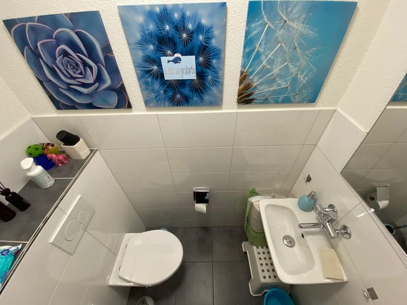 Wunderbare 4.5 Zimmer Wohnung mit Cheminée in Seenähe (9)