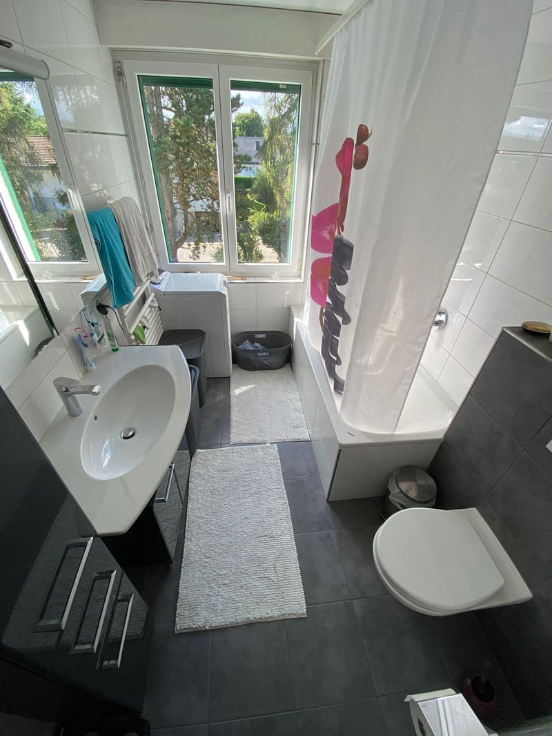 Wunderbare 4.5 Zimmer Wohnung mit Cheminée in Seenähe (8)