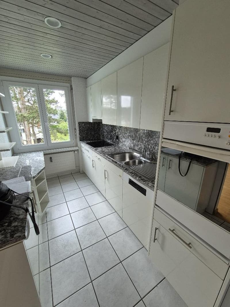 Wunderbare 4.5 Zimmer Wohnung mit Cheminée in Seenähe (4)
