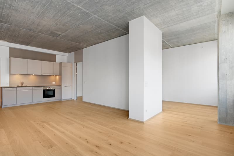 2.5 Zimmerwohnung in St. Gallen (6)