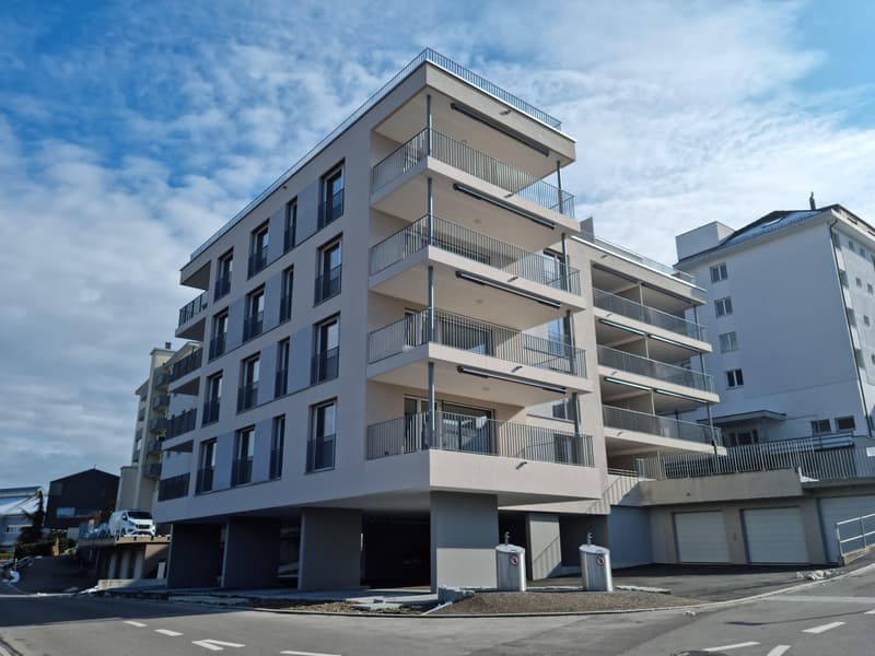 Helle und charmante 2.5 Zimmerwohnung (1)