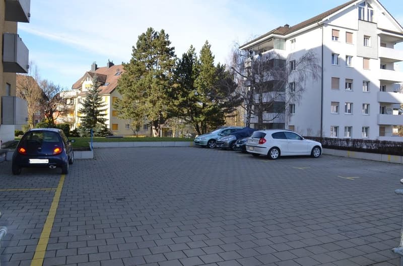 schöne 1.5 Singlewohnung (8)