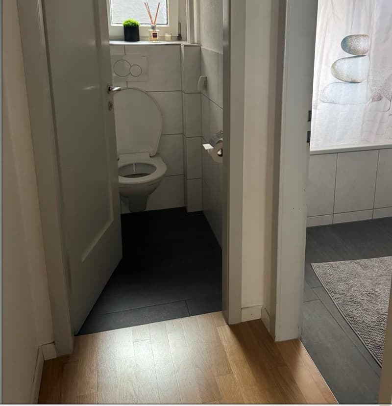 4-Zimmer-Wohnung in Uzwil befristet zu vermieten (9)