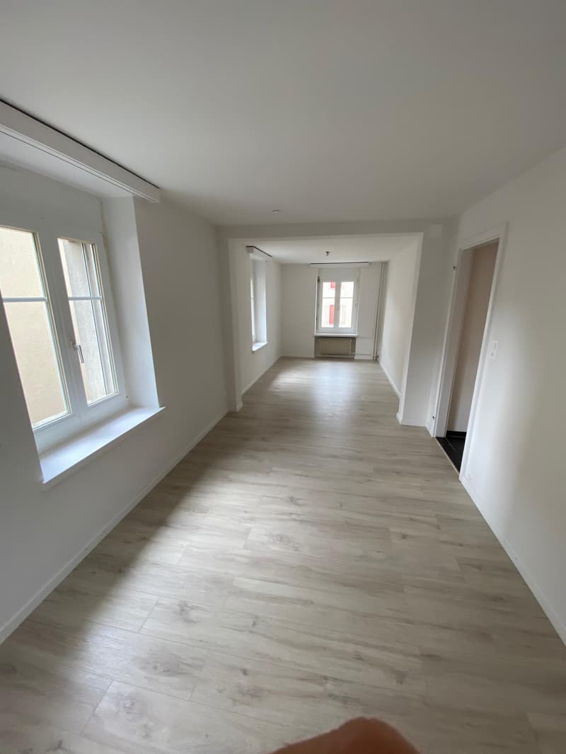 Helle 3.5-Zimmer-Wohnung mit Altbaucharme in St. Gallen (6)