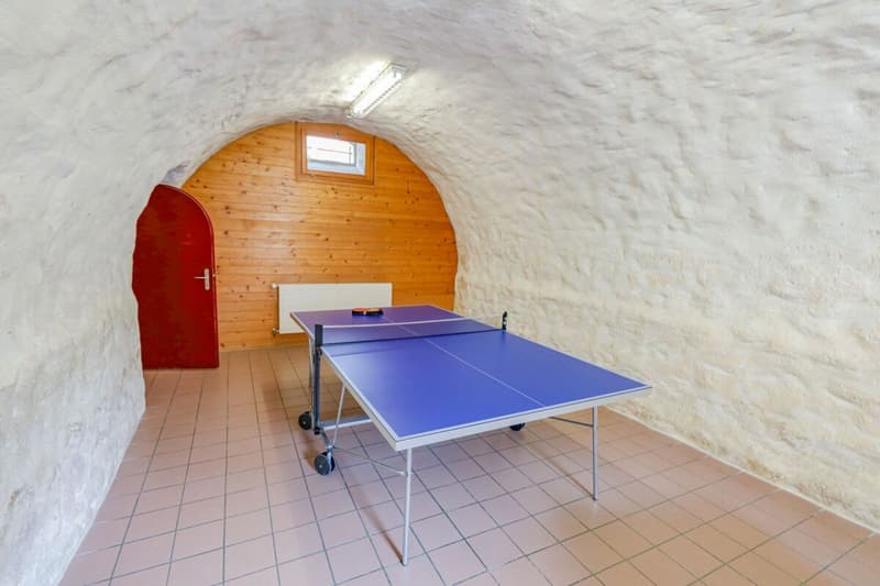 Ampio magazzino di vacanza in posizione soleggiata (6)