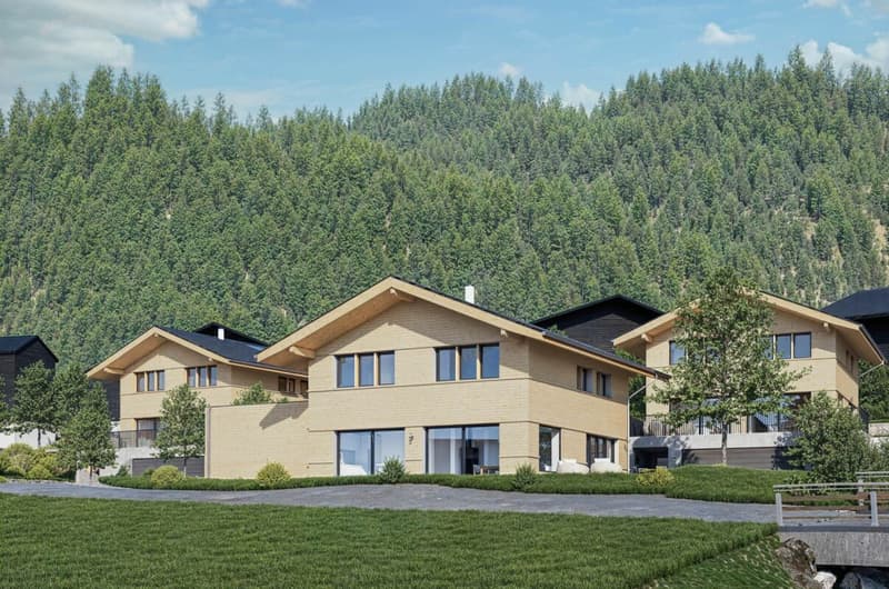 Single-family house, new building Blankenburg (2)