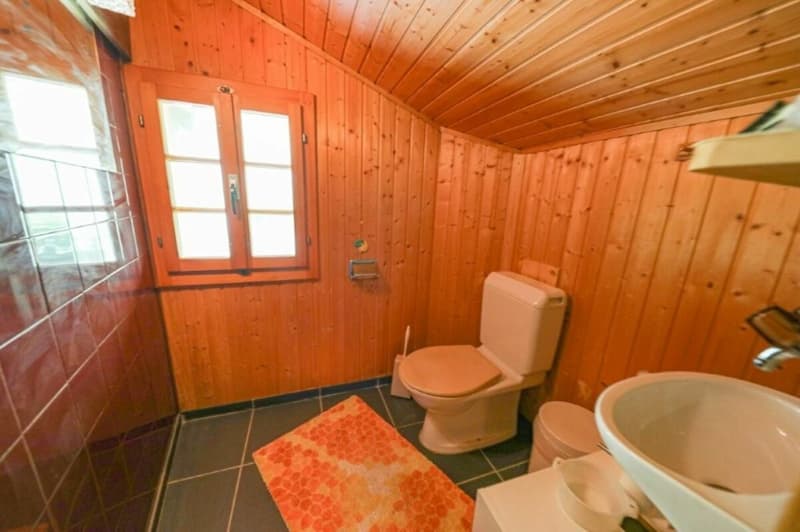 DM 137 4.5 room attic apartment (7)
