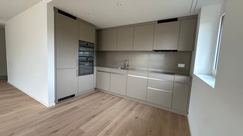 LAGO VISTA - Alte Landstrasse 22, Thalwil (5)