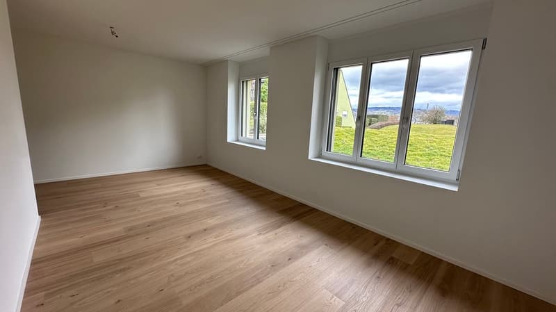 LAGO VISTA - Alte Landstrasse 22, Thalwil (7)