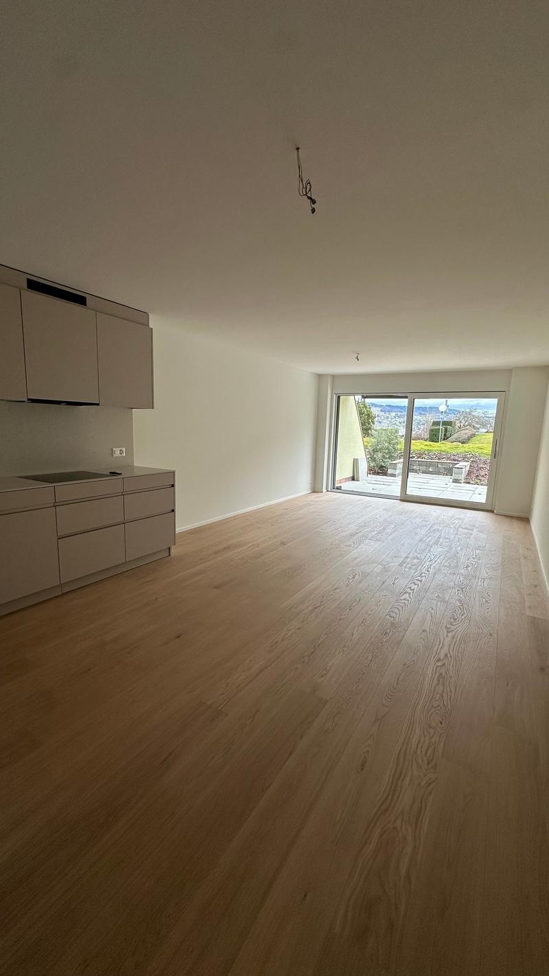 LAGO VISTA - Alte Landstrasse 22, Thalwil (1)