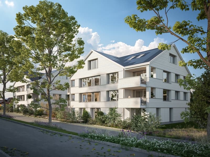 Projektankündigung - Neubau in Heiden (1)