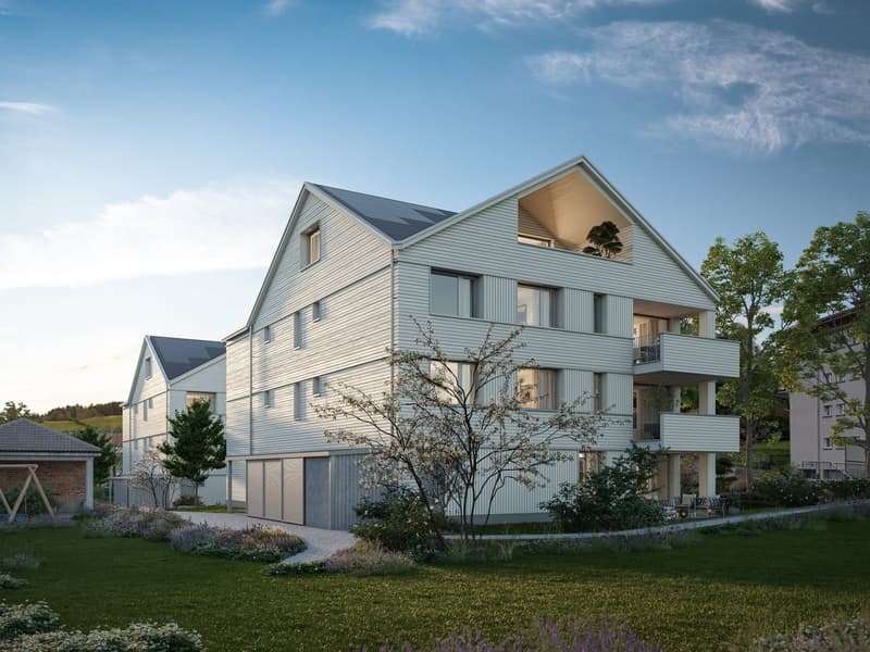 Projektankündigung - Neubau in Heiden (2)