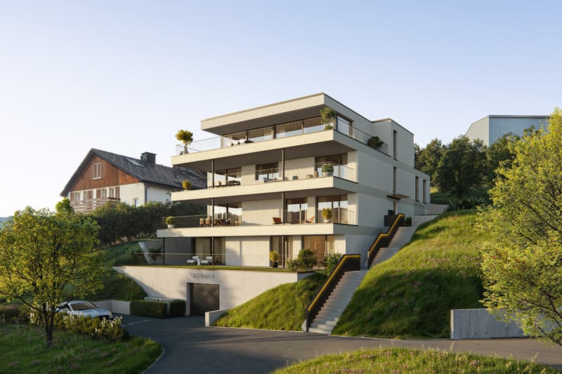 New construction project Mehrsicht. (3)
