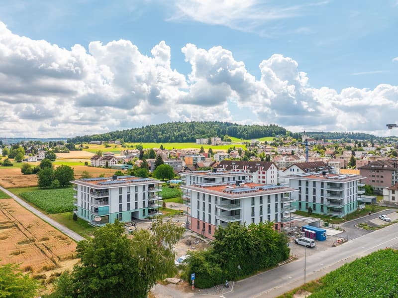 Posti auto gratuiti Edificio sandgass.ch, Reinach (6)