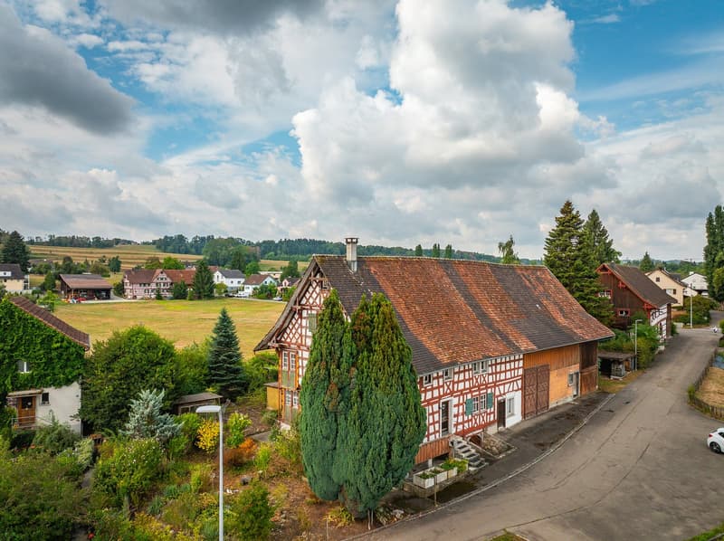 Charmantes Riegelhaus mit Stall und grosszügigem Umschwung (13)