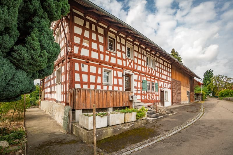 Charmantes Riegelhaus mit Stall und grosszügigem Umschwung (1)