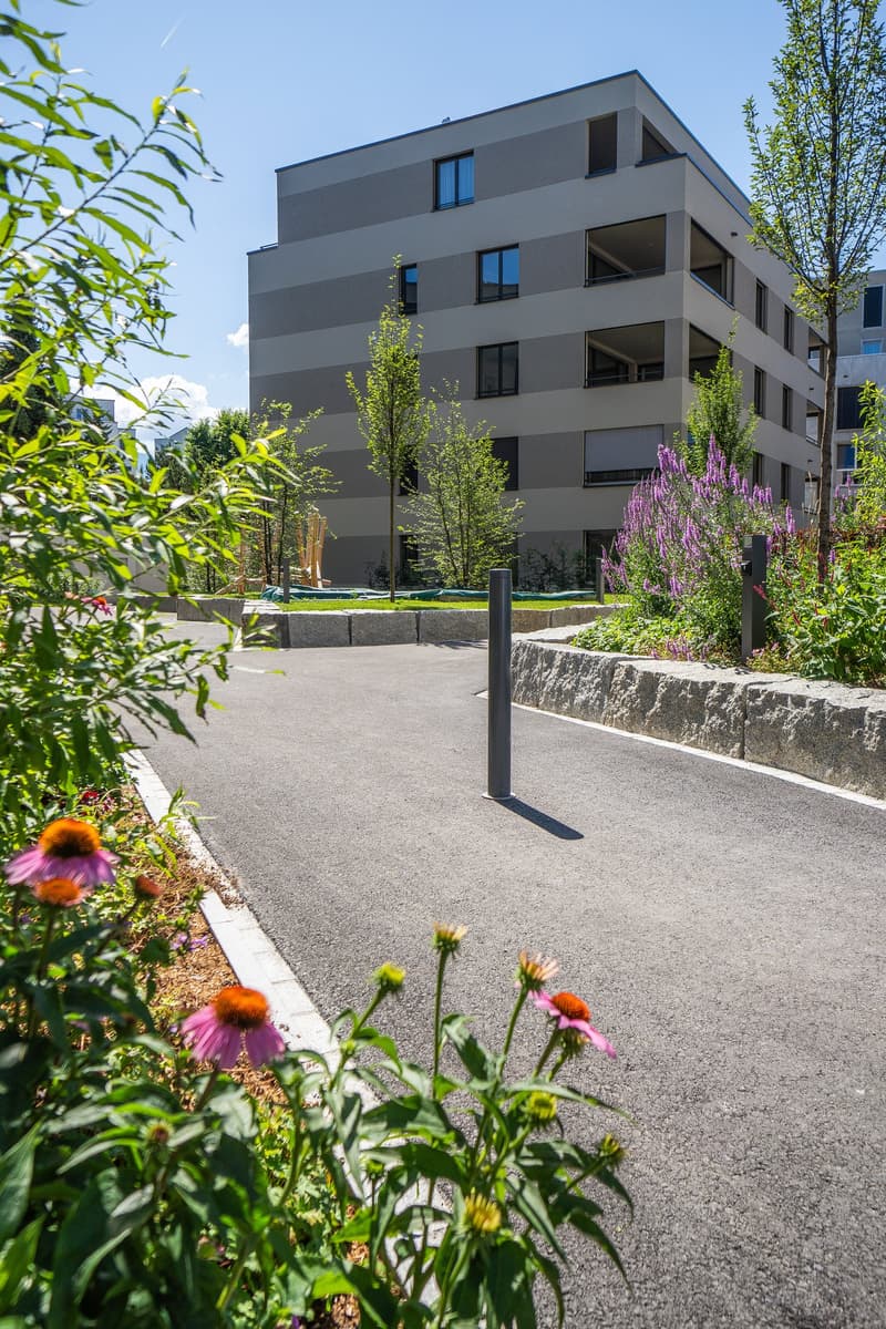 Kapitalanlage in Widnau SG | 2 oder 4 vermietete Neubauwohnungen | Renditeobjekt ab CHF 1.96 Mio (10)
