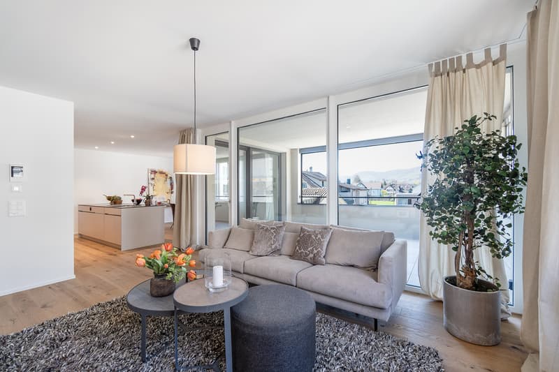 Spacious garden apartment in owner-occupier standard - mitte-widnau.ch (11)