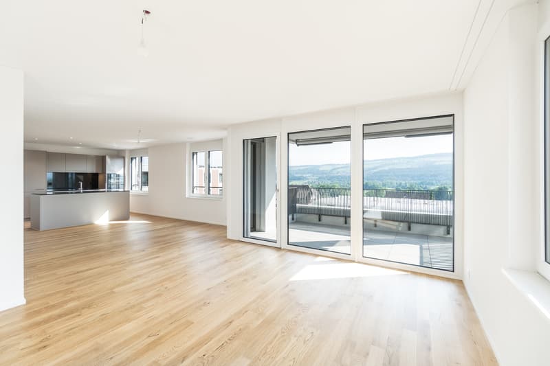 Your new home in Fischbach-Göslikon (1)