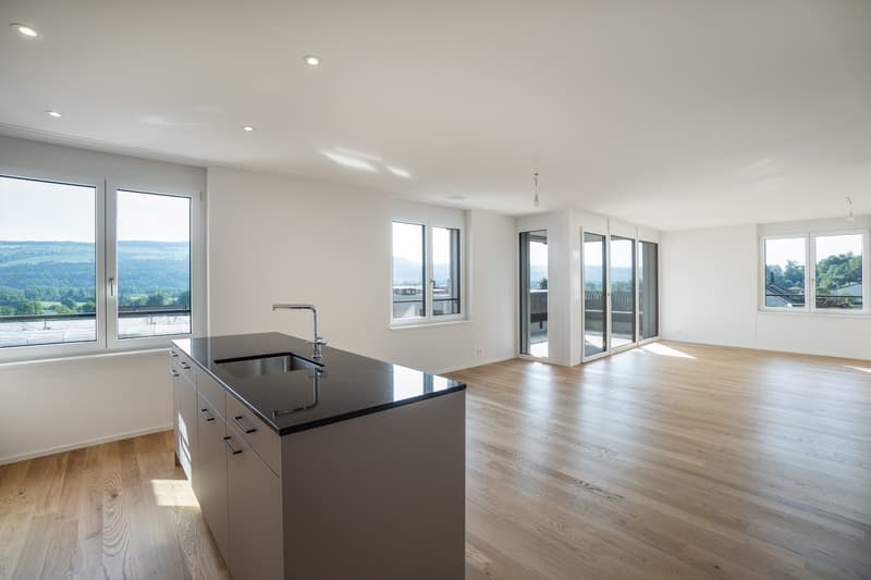 Your new home in Fischbach-Göslikon (5)