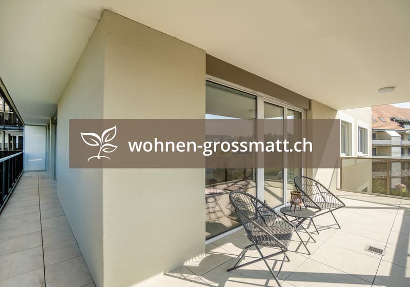 Spacious family apartment in Menziken - 5.5 rooms with plenty of comfort (1)