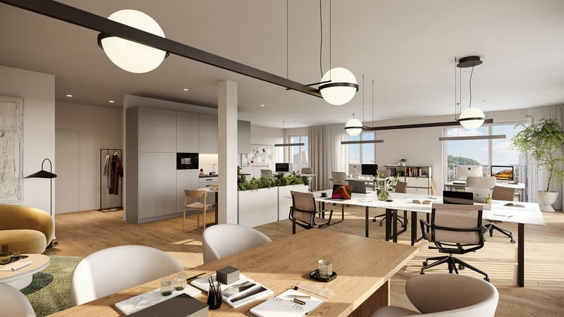Espaces modernes pour prestataires de services, consultants et cabinets (4)