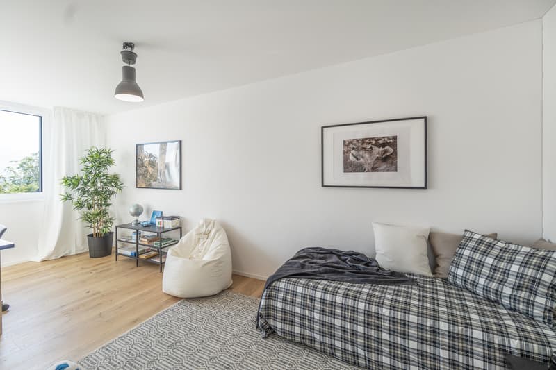 Ihr neues Zuhause: Grosszügiges 5½-Zimmer-Reiheneinfamilienhaus - Erstbezug (10)