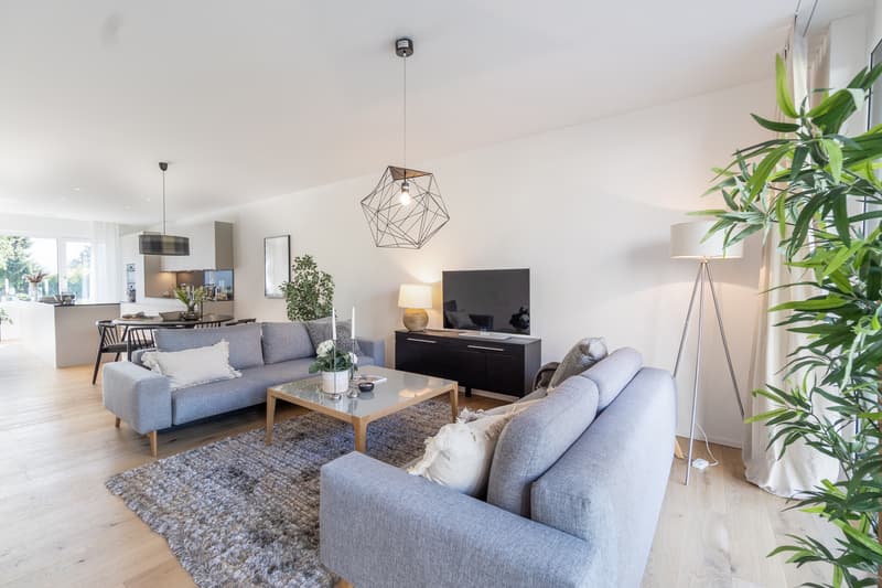 Ihr neues Zuhause: Grosszügiges 5½-Zimmer-Reiheneinfamilienhaus - Erstbezug (4)