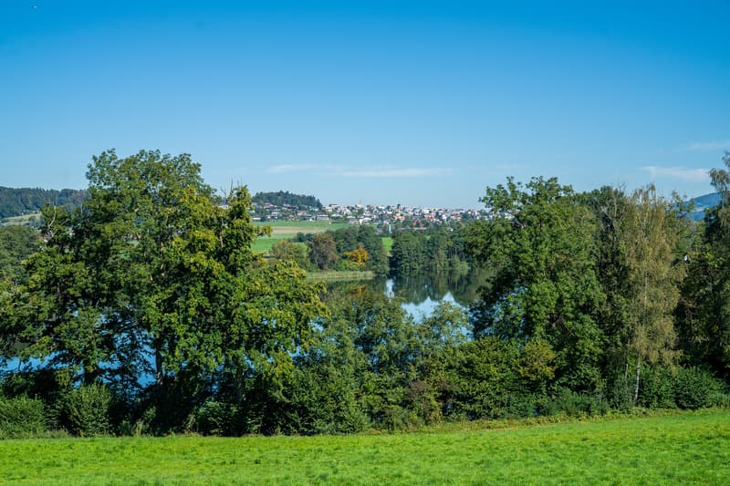 Platz für die ganze Familie - Reiheneinfamilienhaus "am-wiberg.ch" (6)