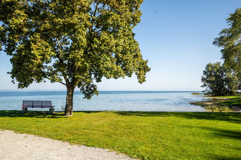 Traumhaftes Wohnen am Bodensee - willkommen in "see-wies.ch" (9)