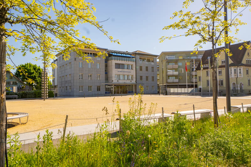 Urbanes Wohnen im Grünen - "schmitterpark.ch" Diepoldsau (9)