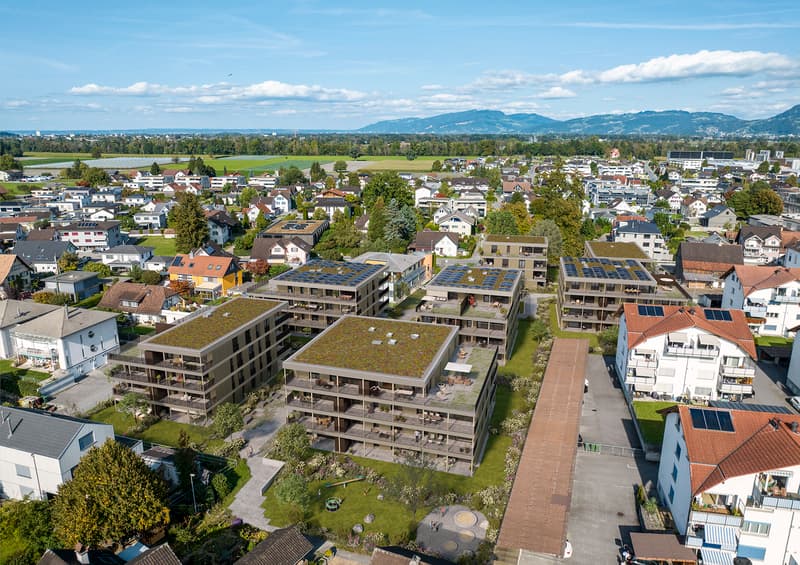 Urbanes Wohnen im Grünen - "schmitterpark.ch" Diepoldsau (2)