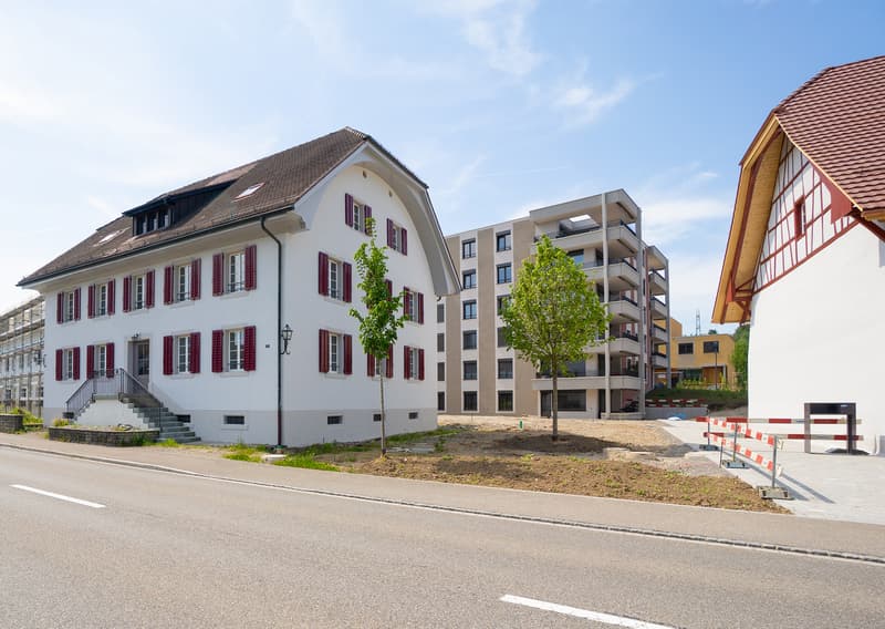 Grosszüge Familienwohnung mit eigenem Garten - mit SPECIAL ! (3)