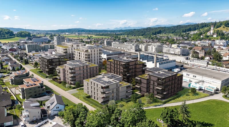 Exklusive Neubauwohnungen mit hochwertigem Ausbau in salzhof-süd.ch (3)