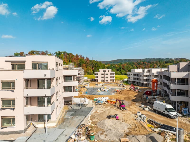 Letzte freie Attikawohnung im beliebten Mattenpark (9)