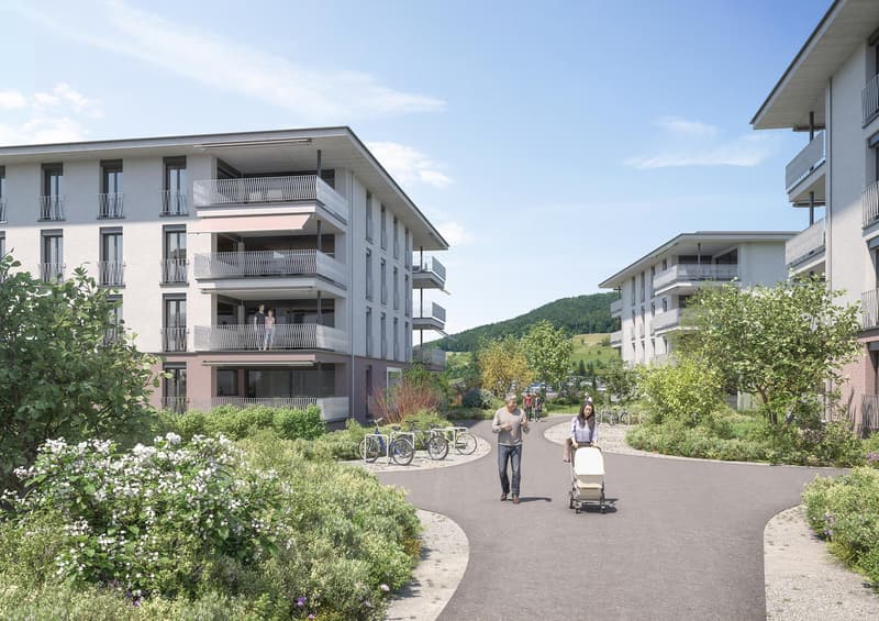 Appartement studio moderne à Reinach AG (4)